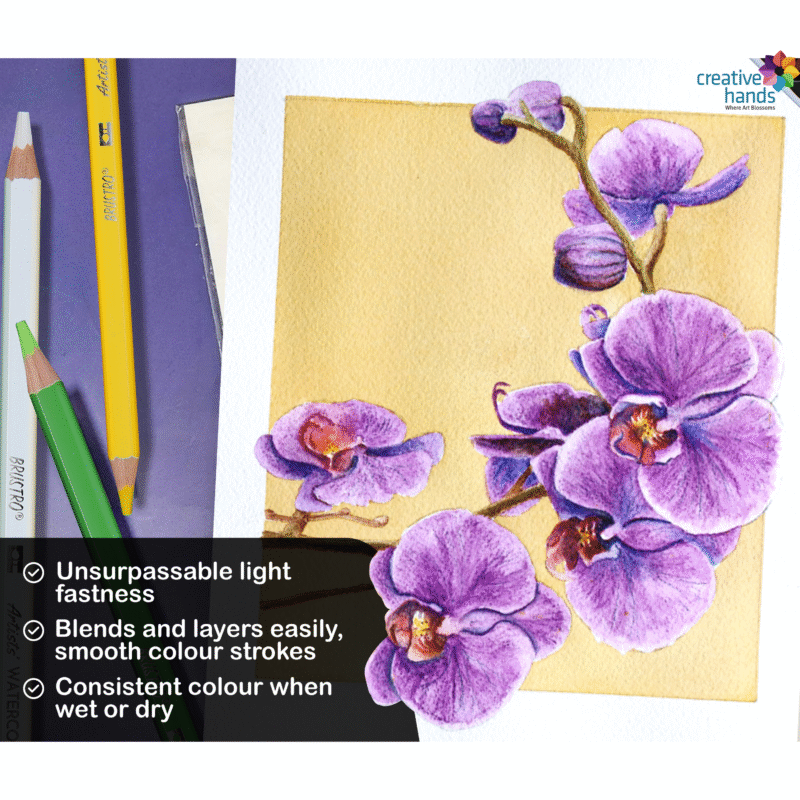 BRUSTRO Artists Watercolour Pencil Set of 72 in Elegant tin Box - Image 2