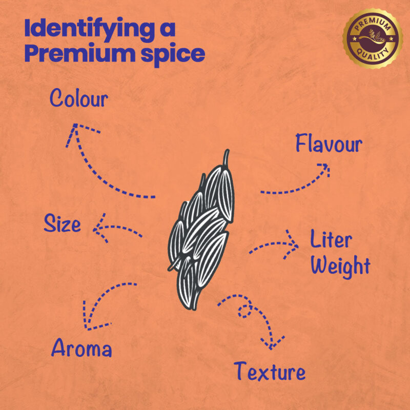 CRISTA Cumin 100 gms - Image 5