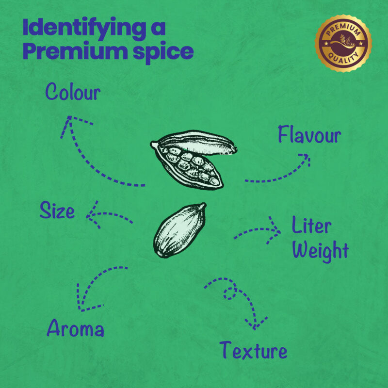 CRISTA Green Cardamom - Image 4