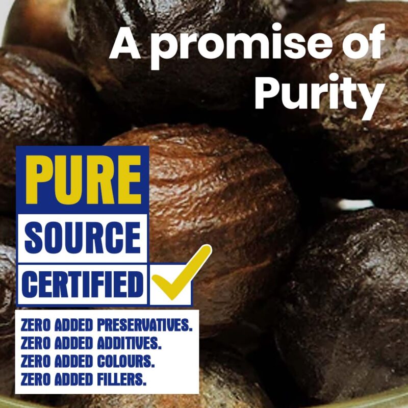 CRISTA Nutmeg - Image 4