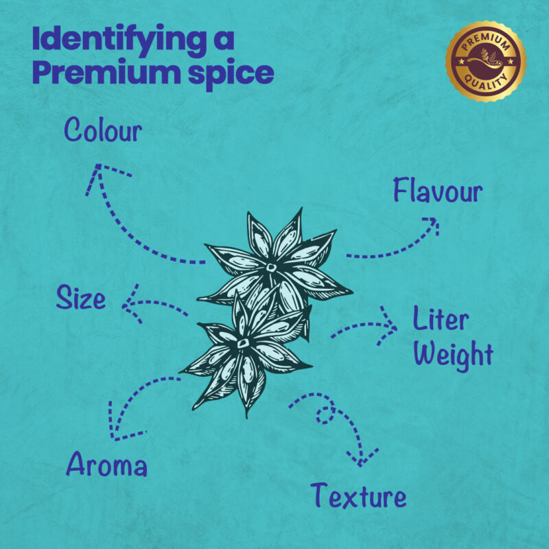 CRISTA Star Anise - Image 5