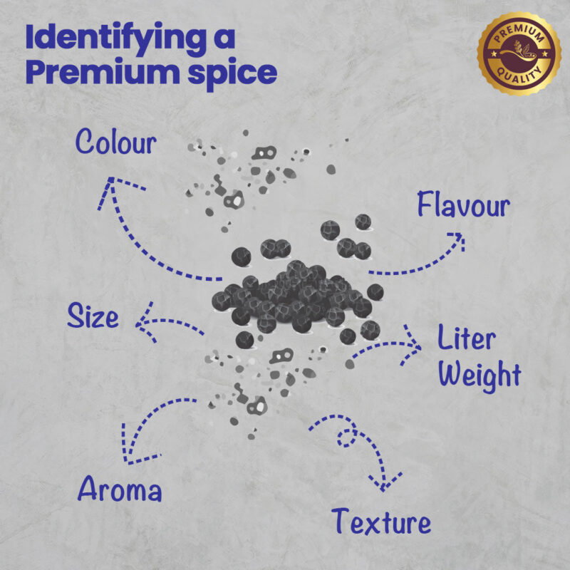 CRISTA Black Pepper Powder - Image 5