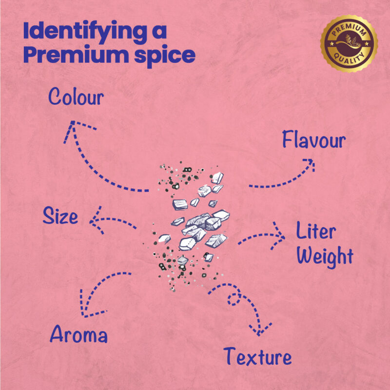 CRISTA Black Salt Powder - Image 5