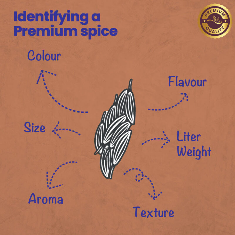 CRISTA Cumin Powder 100 gms - Image 5
