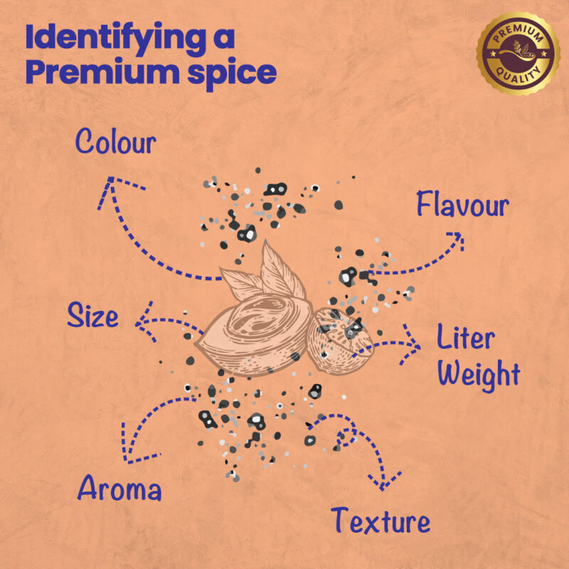 CRISTA Nutmeg Powder Pack of 3 - Image 6