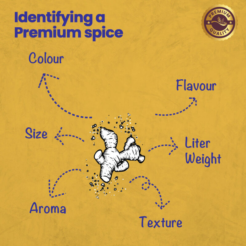 CRISTA Turmeric Powder 100 gms - Image 11