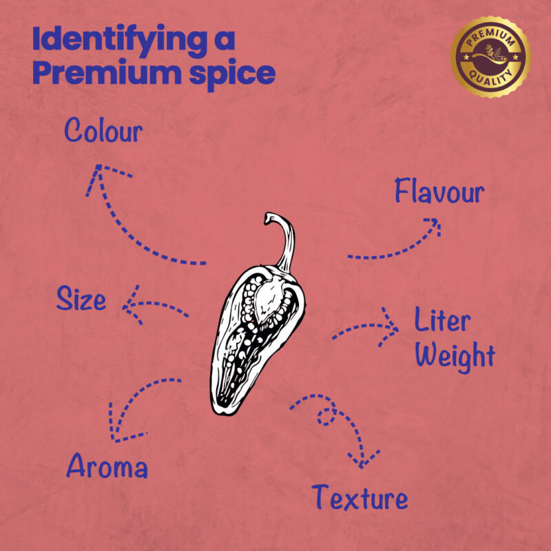 CRISTA Kashmiri Chilli Powder 100 gms - Image 6