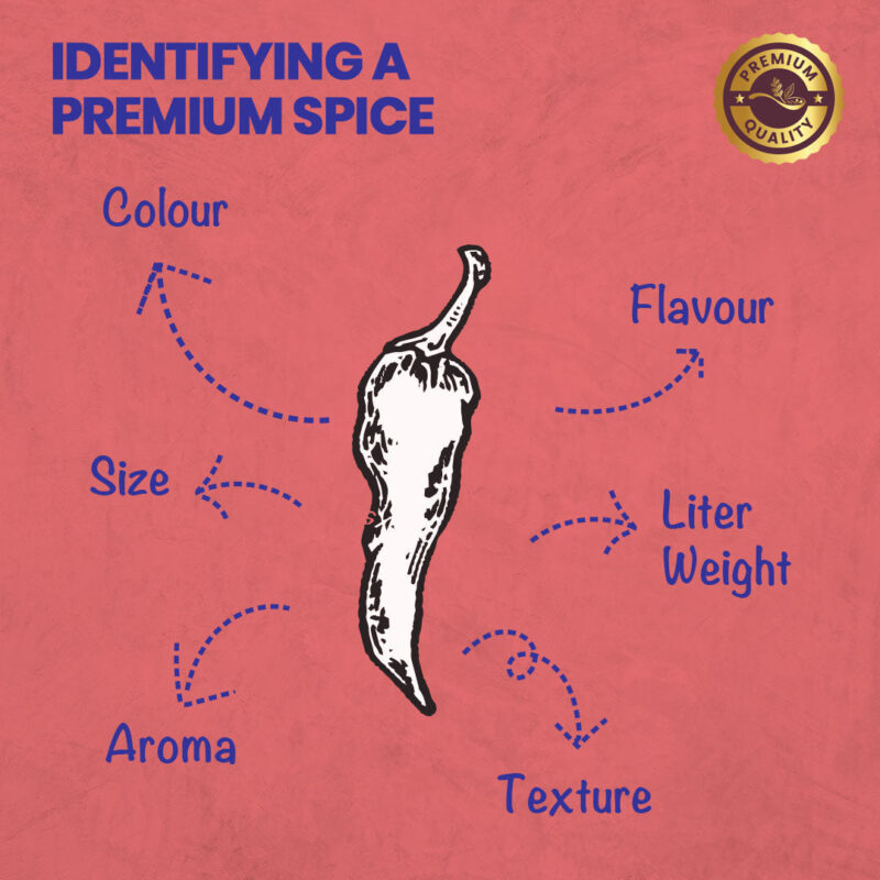 CRISTA Red Chilli Powder 100 gm - Image 5