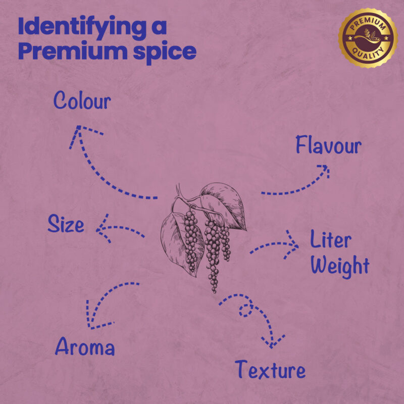 CRISTA White Pepper - Image 5