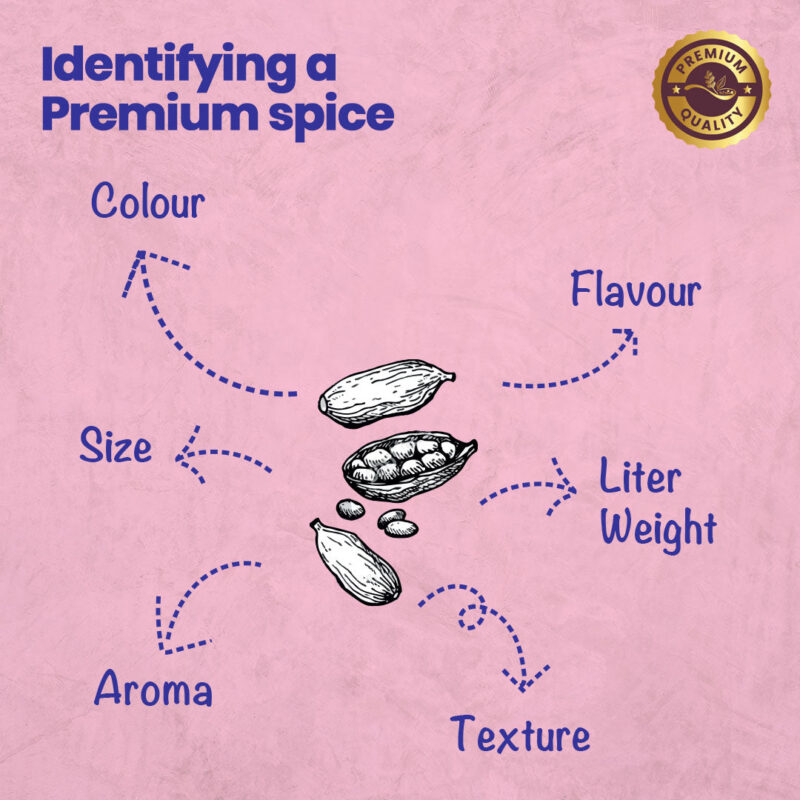 CRISTA Cardamom Combo Pack - Image 4