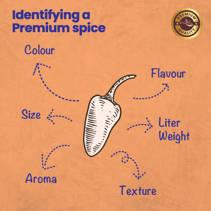 CRISTA Reshampatti Chilli Powder Combo Pack - Image 3