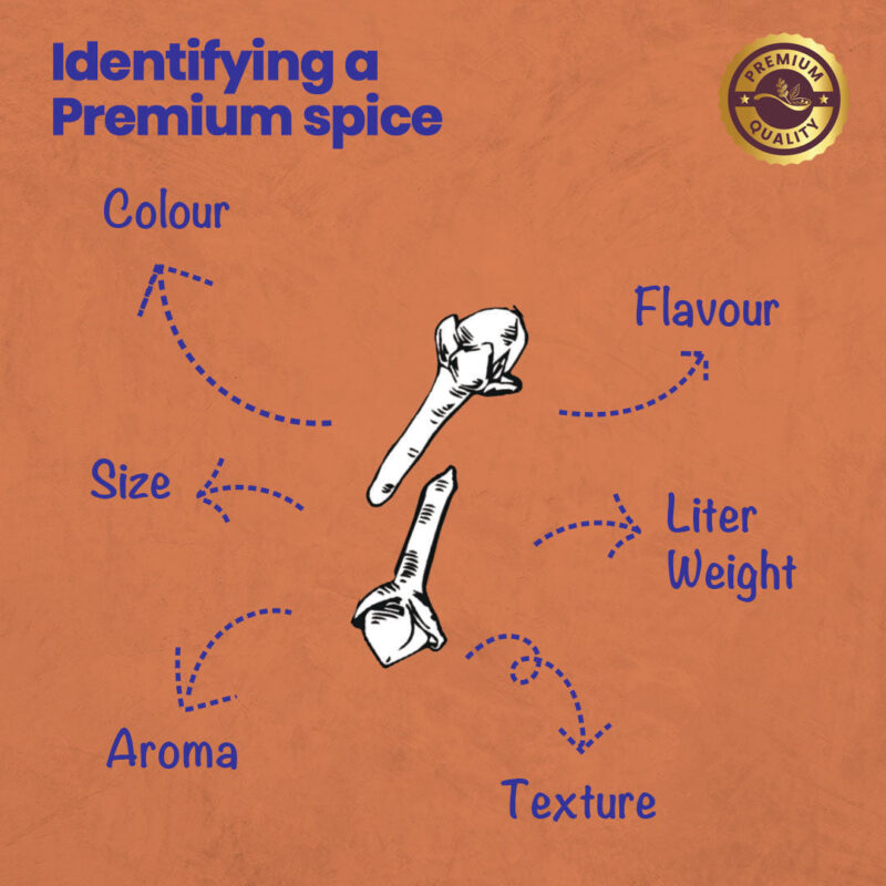 CRISTA Daily Whole Spices (Masala) Combo Pack - 1 - Image 6