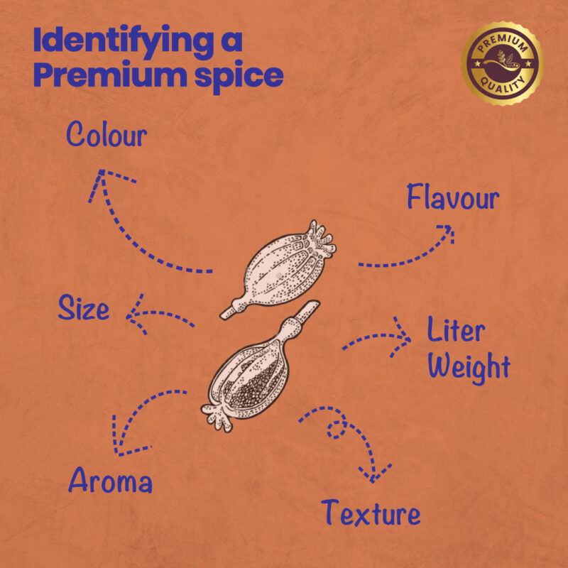 CRISTA Daily Whole Spices (Masala) Combo Pack - 2 - Image 7