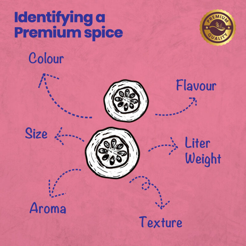 CRISTA Daily Whole Spices (Masala) Combo Pack - 2 - Image 8