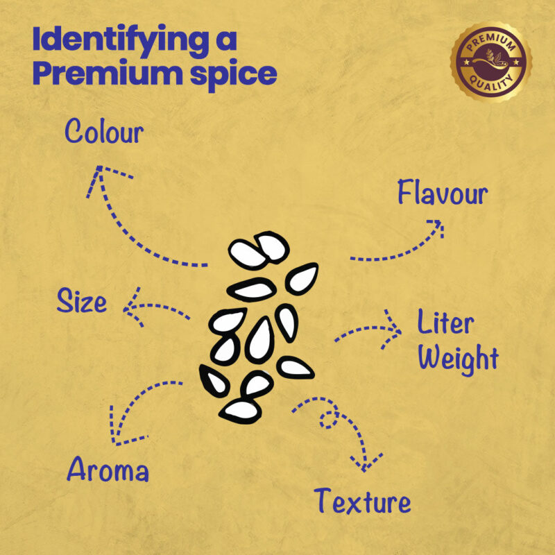 CRISTA Daily Whole Spices (Masala) Combo Pack - 2 - Image 11