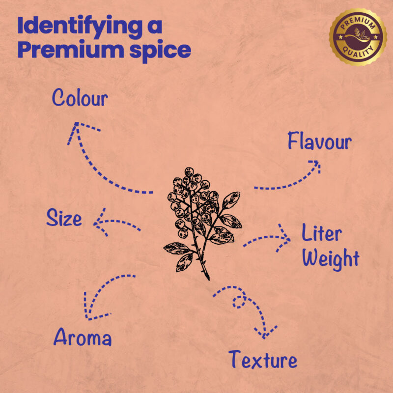 CRISTA Peppercorn Combo Pack - Image 2