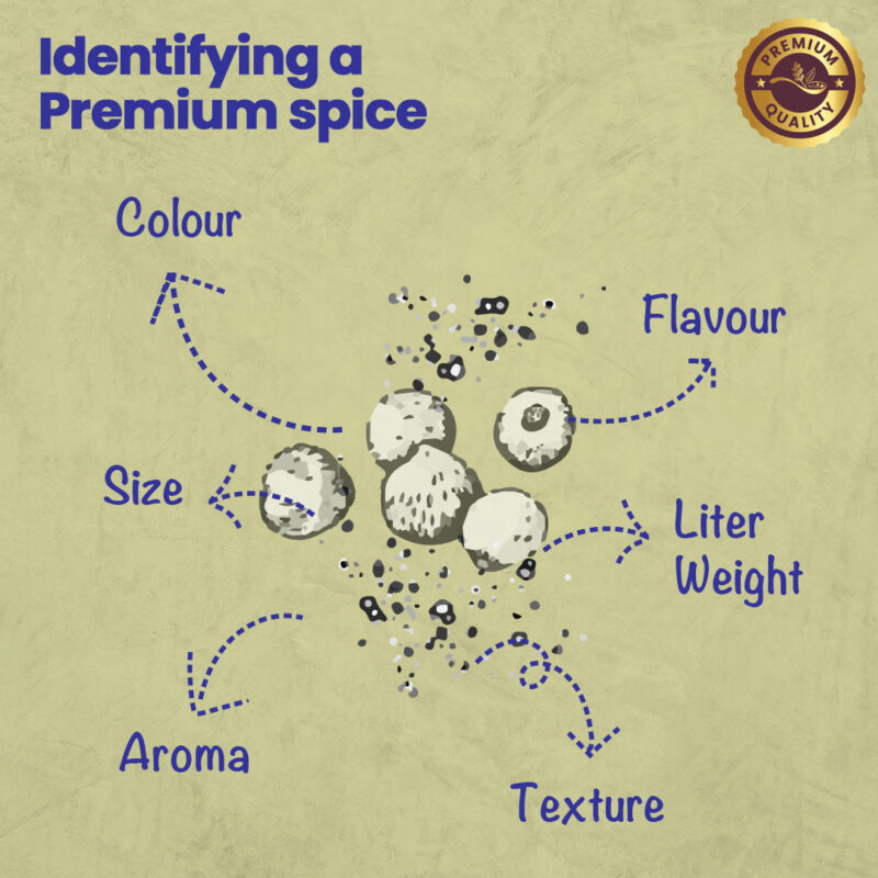 CRISTA Peppercorn Combo Pack - Image 3