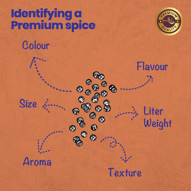 CRISTA Peppercorn Combo Pack - Image 4