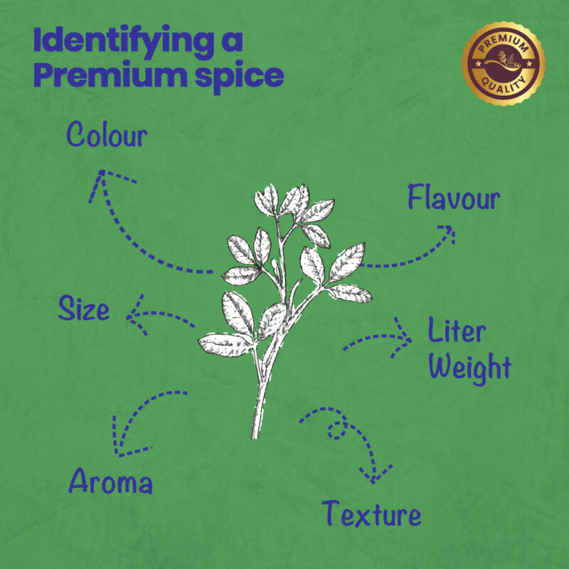 CRISTA Punjabi Cuisine Essential Spices Combo Pack - 2 - Image 6