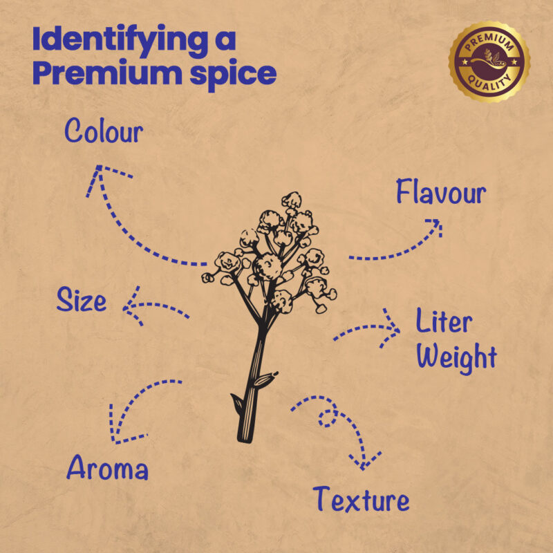 CRISTA Tempering Spices (Masala) Combo Pack - Image 11