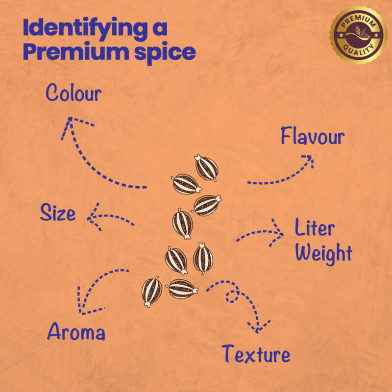 CRISTA Tempering Spices (Masala) Combo Pack - Image 7