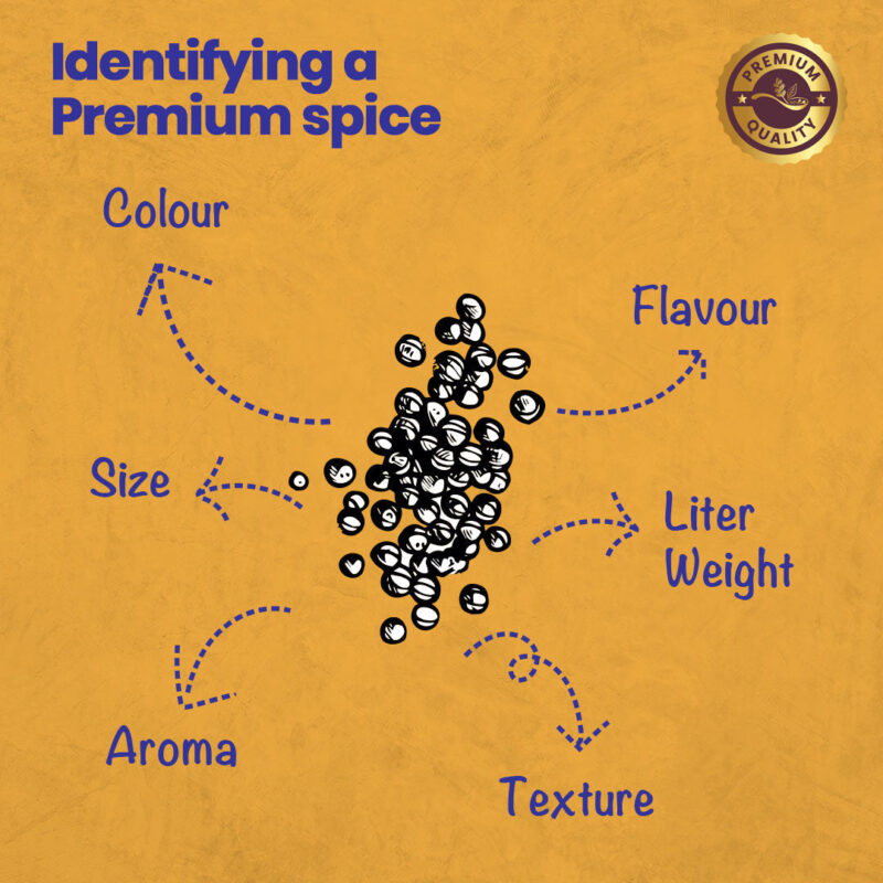 CRISTA Tempering Spices (Masala) Combo Pack - Image 8