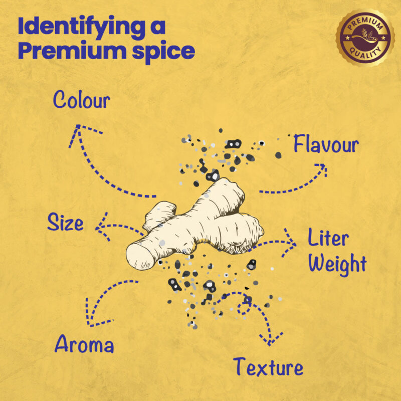 CRISTA Daily Ground Spices (Masala) Combo Pack - 1 - Image 6