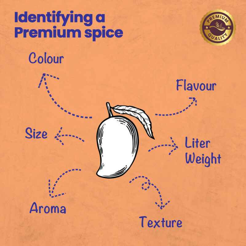 CRISTA Daily Ground Spices (Masala) Combo Pack - 1 - Image 5