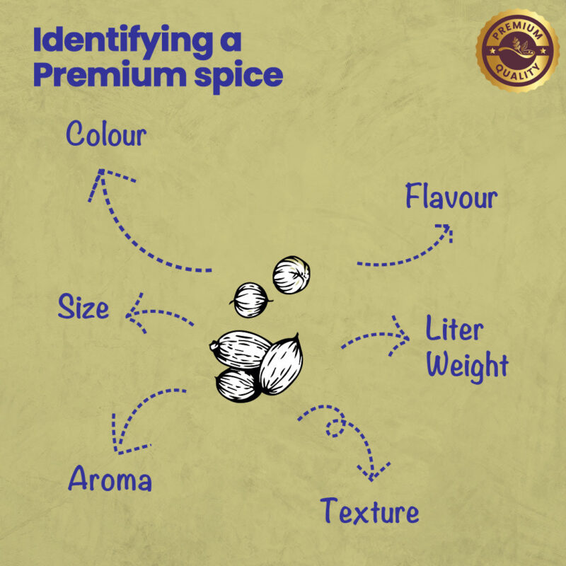 CRISTA Daily Ground Spices (Masala) Combo Pack - 2 - Image 7