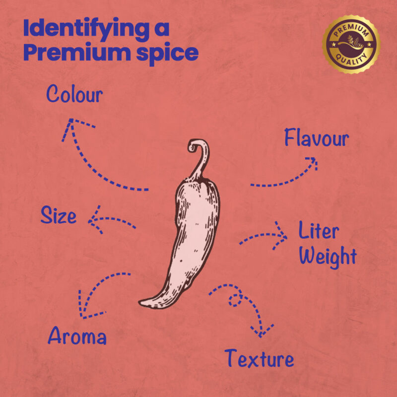 CRISTA Chilli Combo Pack - Image 11