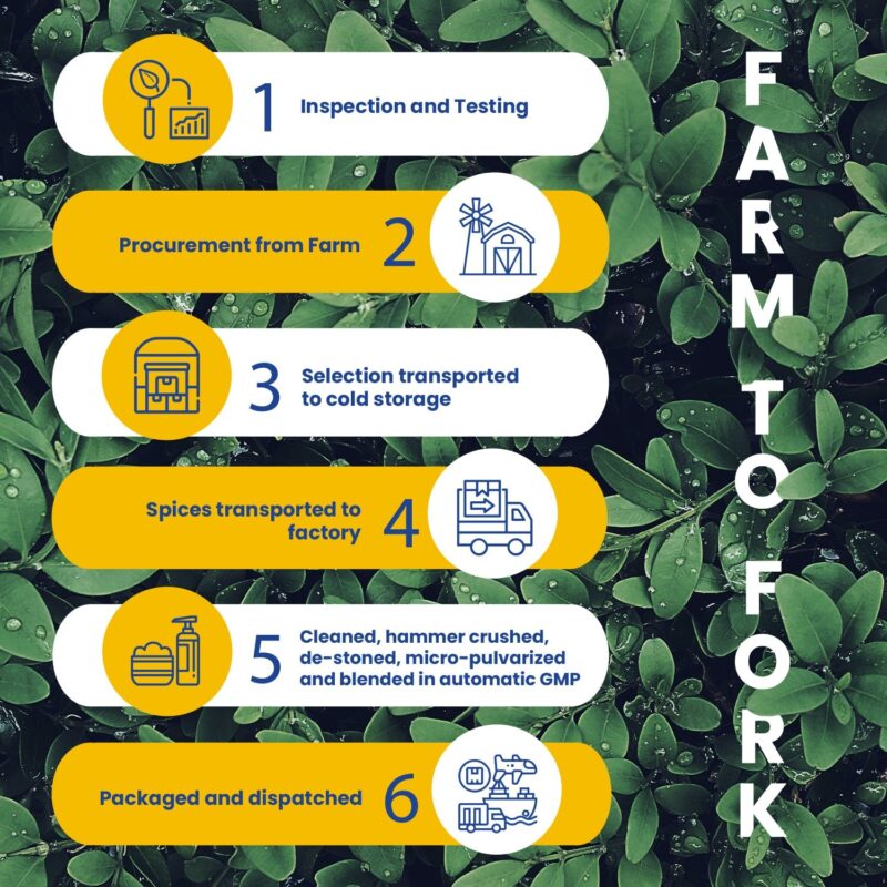 CRISTA Snack Time Seasonings & Flavours Combo Pack - Image 7