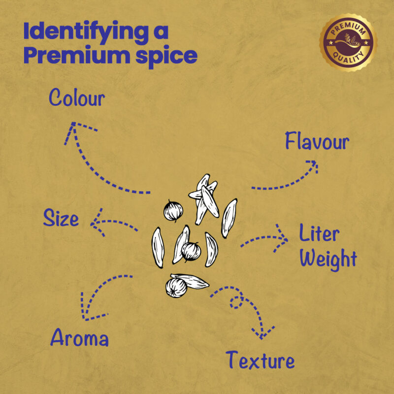 CRISTA Masala Dabba (Spice Box) Combo Pack - Image 13