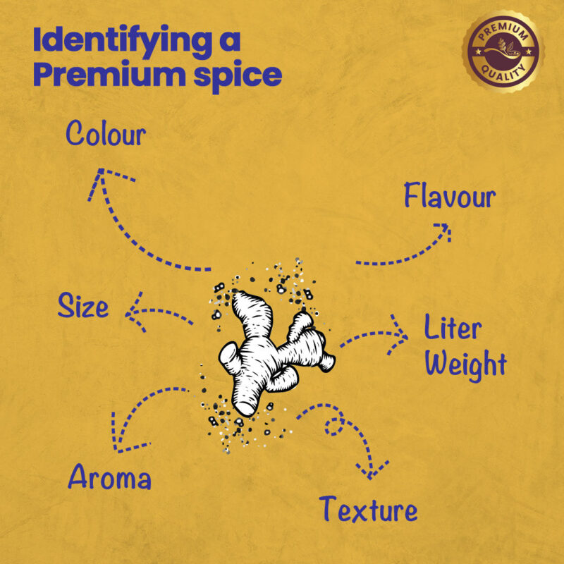 CRISTA Masala Dabba (Spice Box) Combo Pack - Image 12