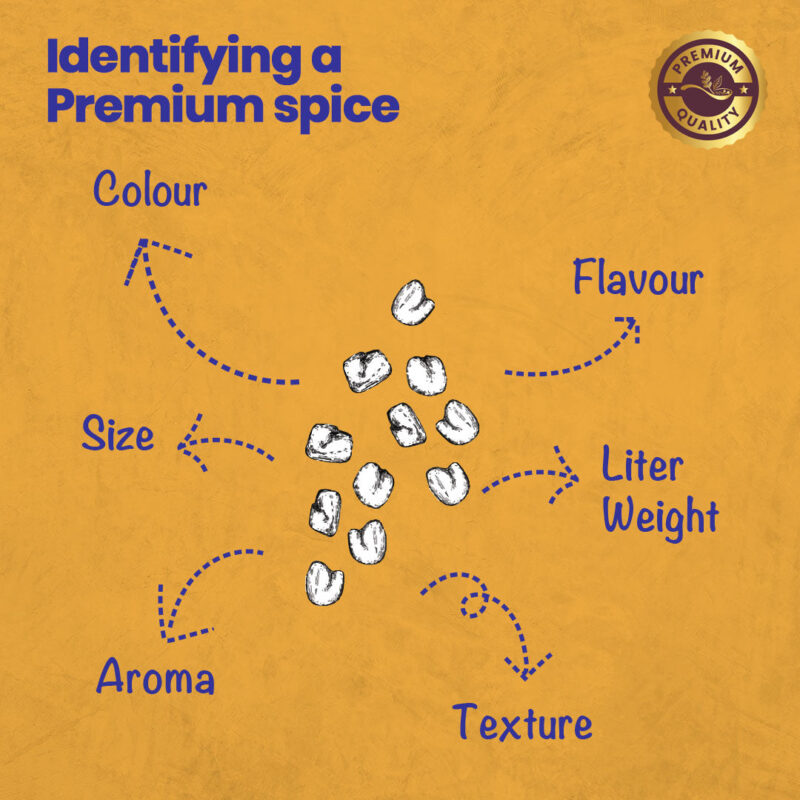 CRISTA Masala Dabba (Spice Box) Combo Pack - Image 11