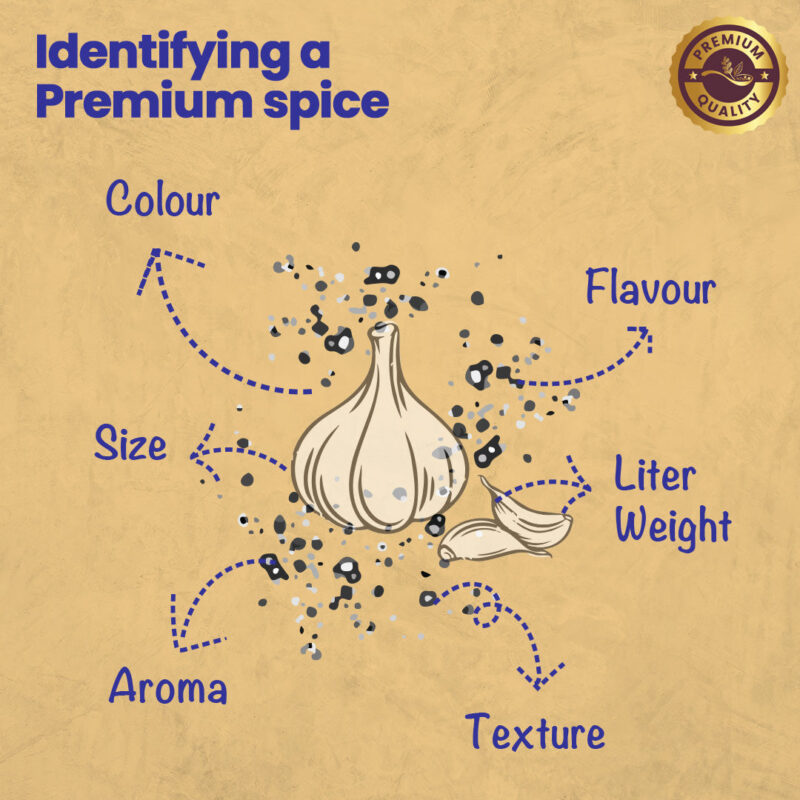 CRISTA Kitchen Ground Spices (Masala) Basics Combo Pack - 3 - Image 3