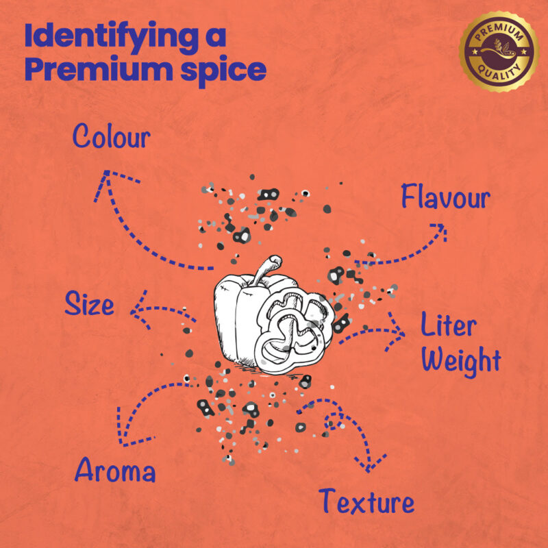 CRISTA Kitchen Ground Spices (Masala) Basics Combo Pack - 3 - Image 4