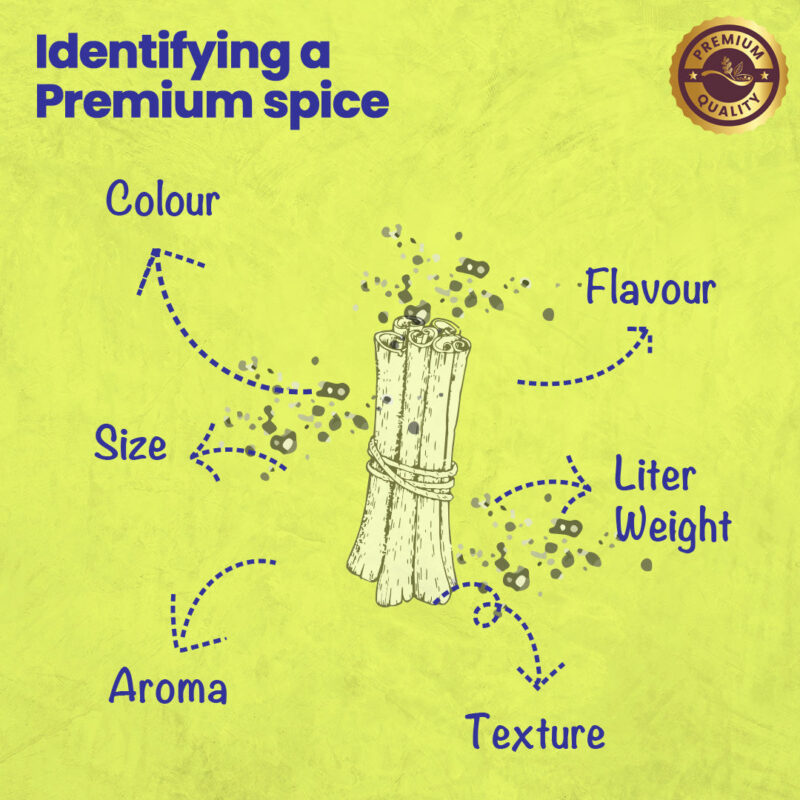 CRISTA Must-Haves Combo Pack - 1 - Image 5