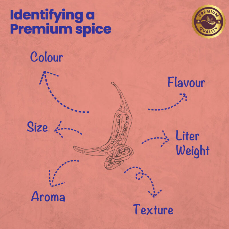 CRISTA Italian Spices & Seasonings Combo Pack - 1 - Image 6