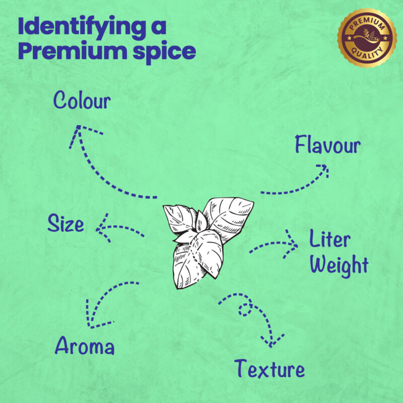 CRISTA Basic Italian Spices Combo Pack - Image 3