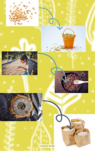 grains Bowl Hand Roasted multi grains health mix powder for Kids and Adults (NO COOKING NEEDED) Roasted Cereals & Pulses Powder, Chatua, Sathu maavu, Porridge Mix (Cardamom/Elaichi Flavour, 1 kg) - Image 6