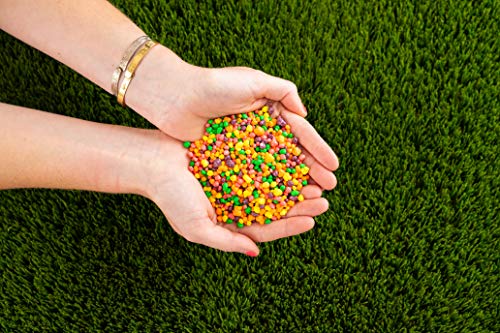 8x Nerds Wonka Rainbow Nerds Candy, 141g each, Mixed Fruit - Pack of 8 - Image 11