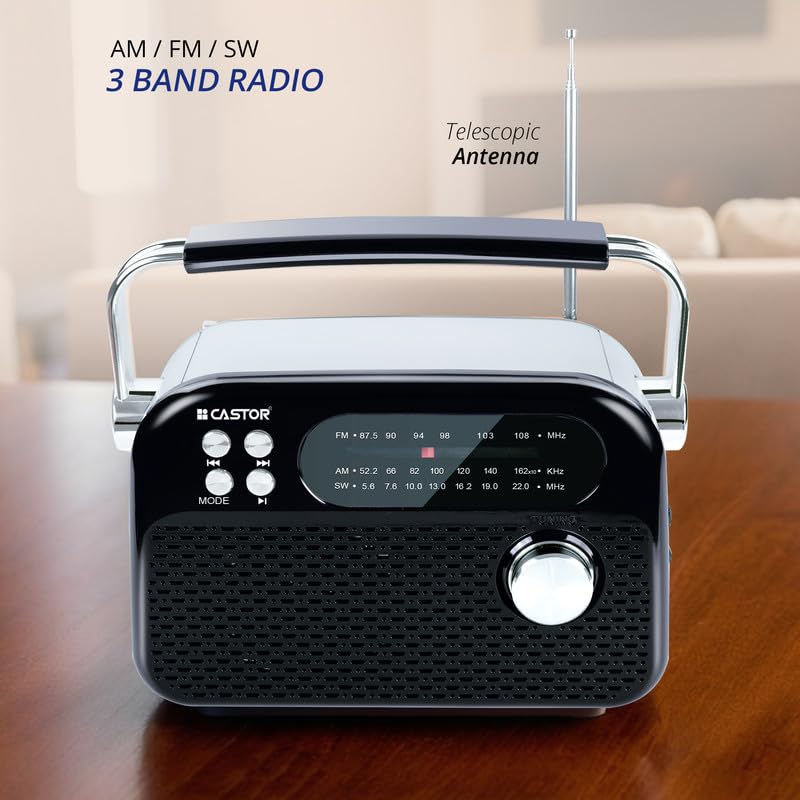 CASTOR iBELL FM820BT Portable FM Radio with Bluetooth Speaker, Rechargeable Battery, USB SD MP3 Player & Dynamic Speaker 3 Band, Black - Image 2