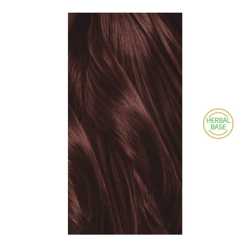 Neha Herbals Mehandi - 500G (Pack of 2) - Image 3