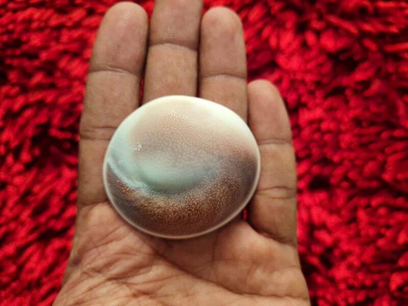 Jyotish Darshan Certified Gomati Chakra Big Size Original Natural Gomathi Chakram for Vishnu Mahalakshmi Pooja Stone |गोमती चक्र - Image 5