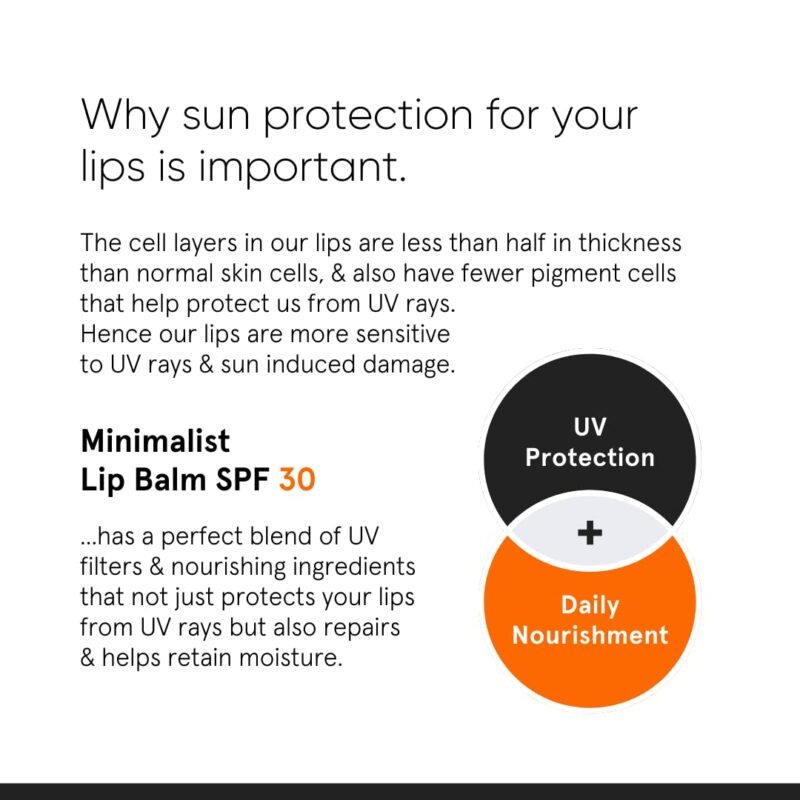 Minimalist Spf 30 Lip Balm With Ceramides & Hyaluronic Acid | Lip Protection & Nourishment | For Women & Men | 8 Gm, Off White - Image 4