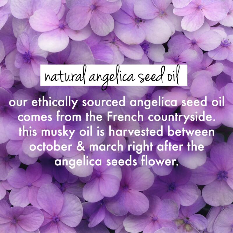 Love Beauty & Planet Love Beauty And Planet Rice Water & Angelica Seed Oil Silicone-Free Curl & Waves Leave-In|| No Parabens|| No Dyes|| Angelica Essential Oil|| Floral, 200Ml, 1 Count - Image 5