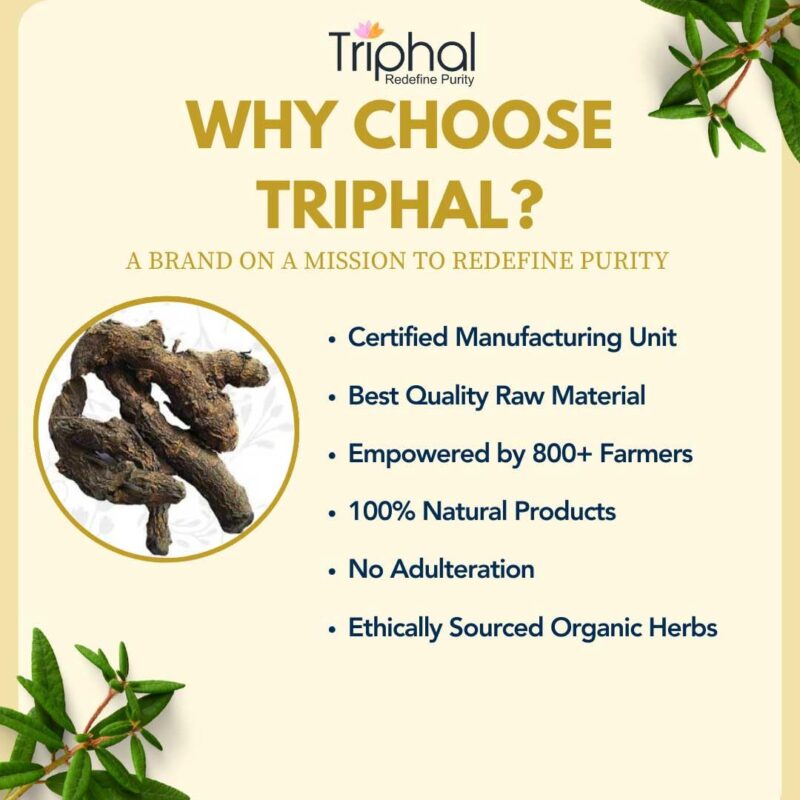 TRIPHAL BRAND Kali Haldi or Black Turmeric or Narkachur or Narkachoor | Raw and Natural (100 grams) - Image 4