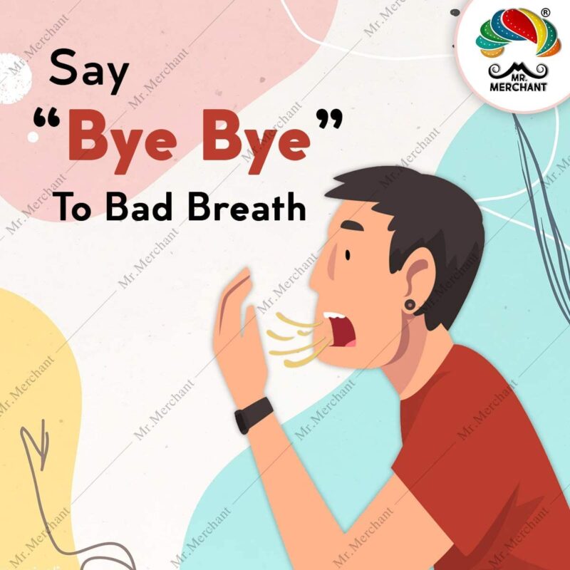 Mr. Merchant Mukhwas Mouth Freshener 5 in 1,(300g) Green Madrasi Saunf Mukhwas, Rajasthani Mukhwas, Gulab Mukhwas, Bangali Mukhwas and Colorful Sauf | Premium Mukhwas Mouth Freshener (Pack of 1) - Image 4