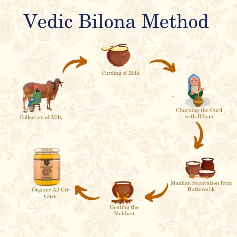 Earthen Story A2 Ghee from Gir Cow 500ml | A2 cow ghee bilona method from curd | 100% Pure, Natural & Healthy | A2 gir cow ghee in Glass Jar | Lab Tested - Image 4