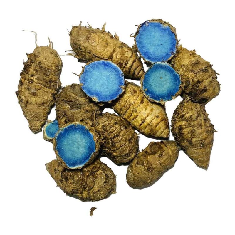 GABHISMEEN Original Kali Haldi or Black Turmeric or Narkachur or Narkachoor Raw and Natural (100 gram) - Image 3